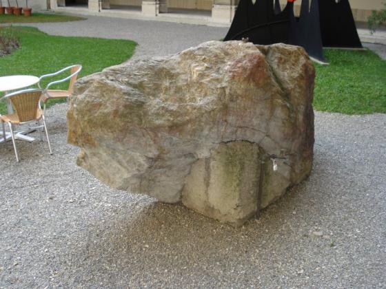 Pierre-aux-Dames (Musée d'art et d'histoire) (Cup and Ring Marks / Rock Art)