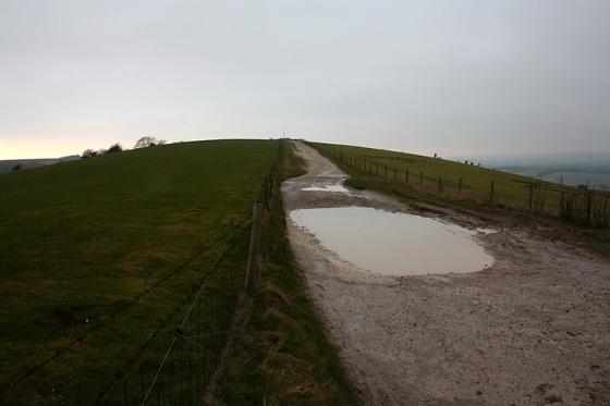 Combe Gibbet (Long Barrow)