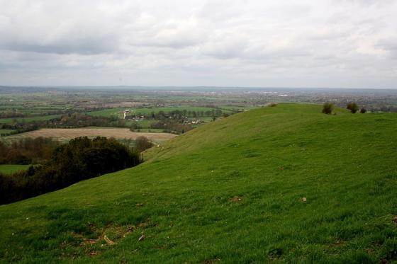 Beacon Hill (Round Barrow(s))