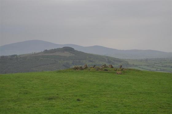 Bawnfree Hill (Passage Grave)