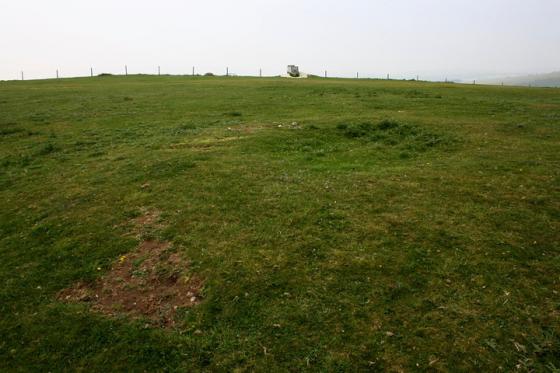 Chanctonbury Ring (Hillfort)