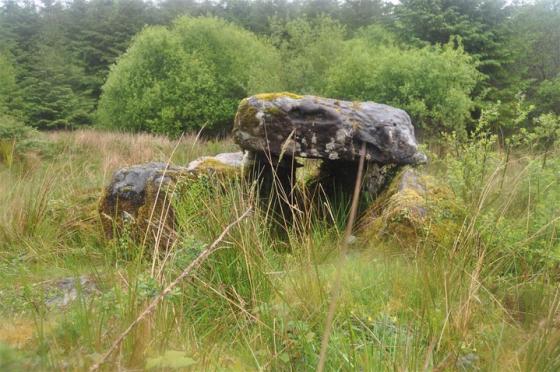 Knockshanvo (Wedge Tomb)