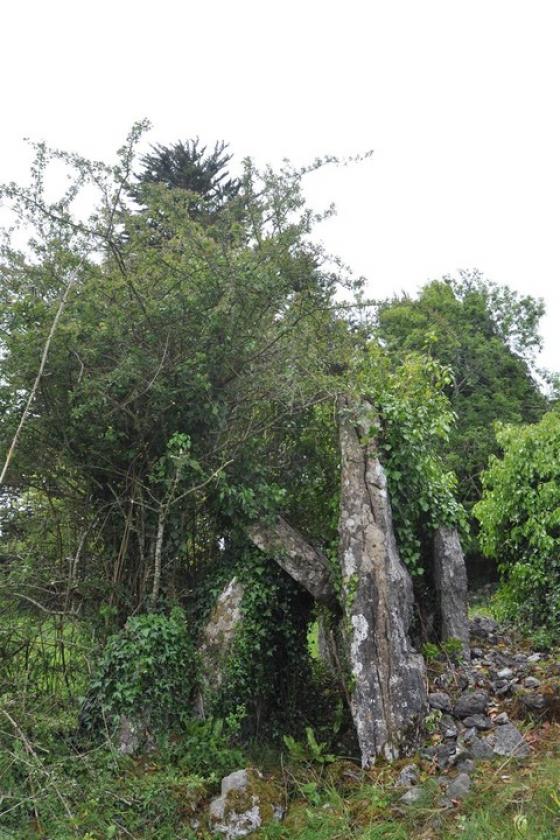 Moyree Commons (Portal Tomb)