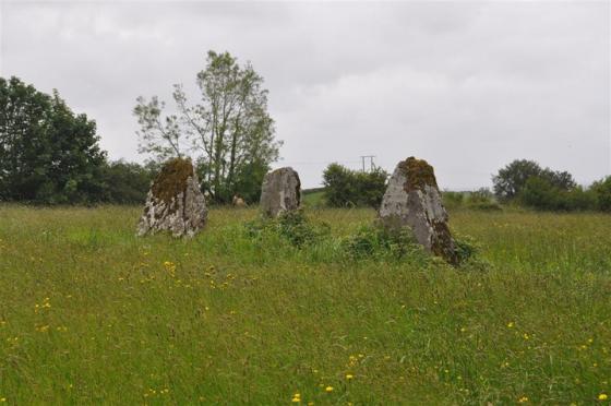Clooney (Stone Row / Alignment)
