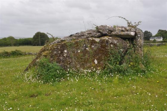 Ballyhickey (Wedge Tomb)
