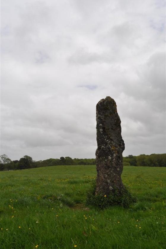 Tyredagh Lower (Standing Stone / Menhir)