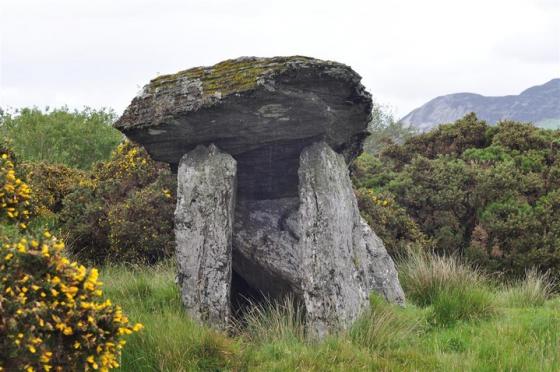 Gortnavern (Portal Tomb)