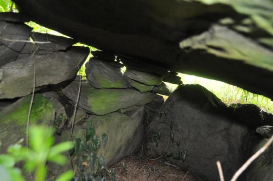 Carnaghan (Portal Tomb)