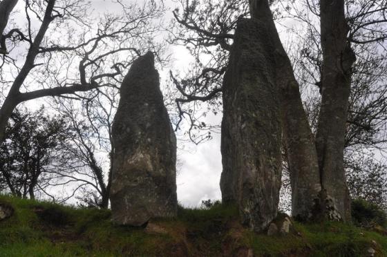 Carnaghan (Portal Tomb)
