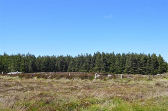 Rathlackan (Court Tomb)