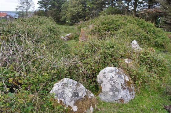 Ballyglass (Court Tomb)