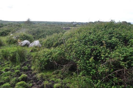 Ballyglass (Court Tomb)