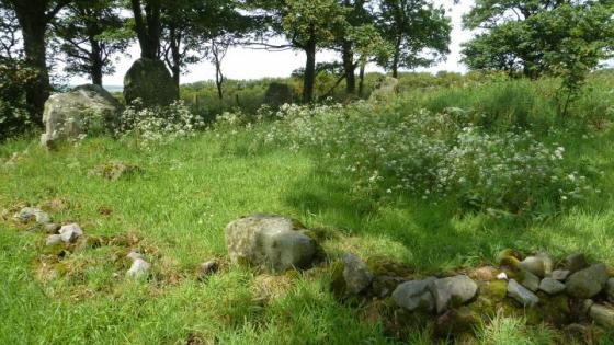 Berrybrae (Stone Circle)