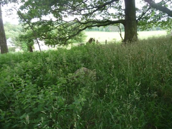 Cappieshill (Cairn(s))
