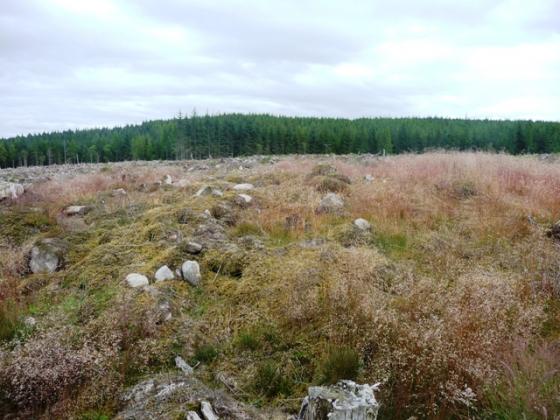 Hill Of Urchany (Cairn(s))