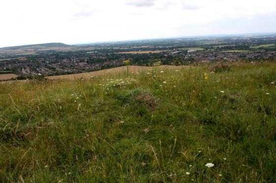 Whiteleaf (Long Barrow)
