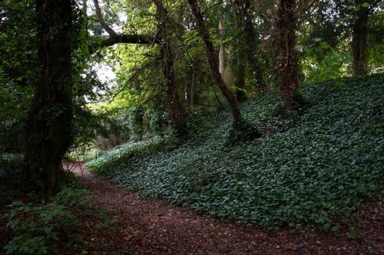 Church Hill Camp (Hillfort)