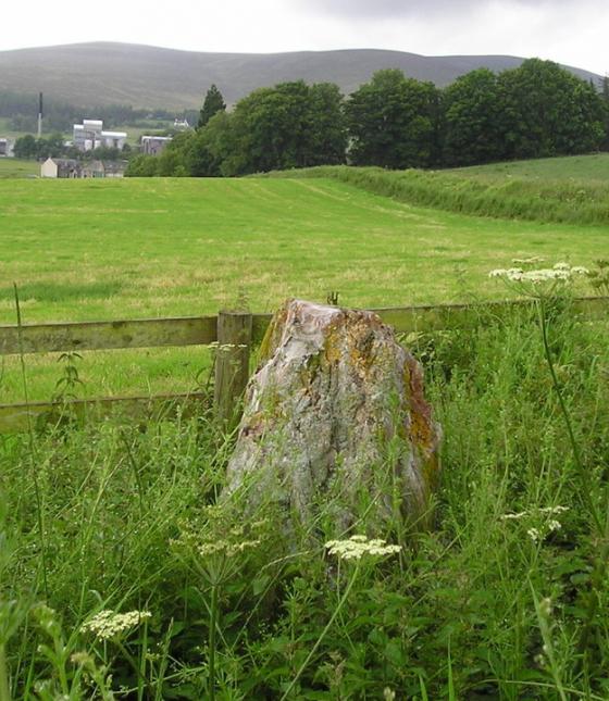 Glen Livet (Standing Stone / Menhir)