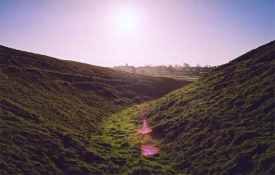Warham Camp (Hillfort)