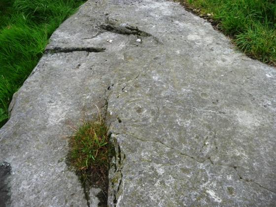 Easter Backlands Of Roseisle (Cup and Ring Marks / Rock Art)