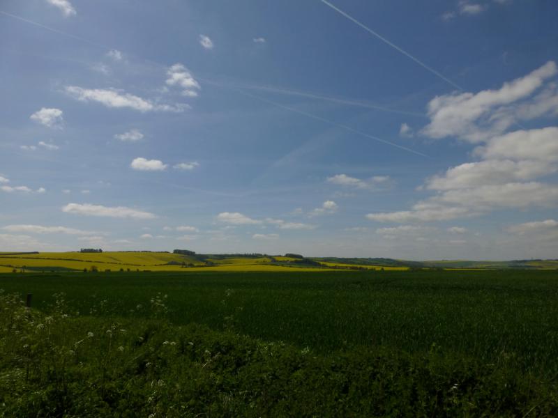 The Ridgeway (Ancient Trackway) — The Modern Antiquarian