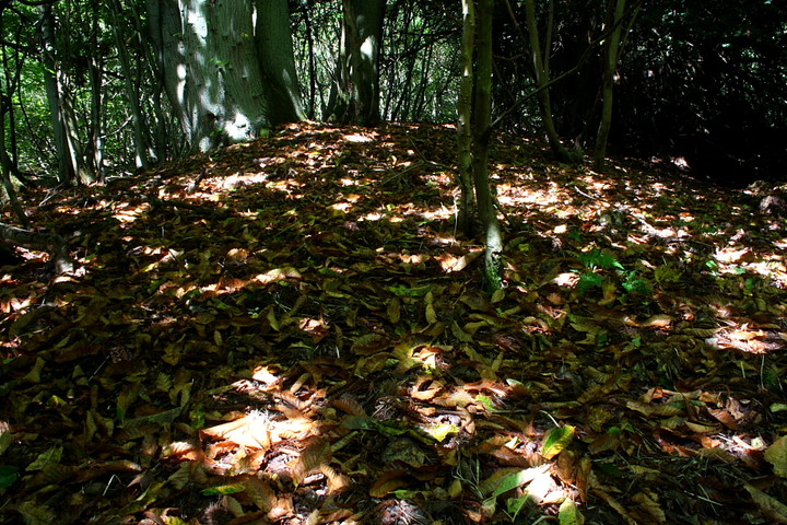 Image of Anstiebury Hillfort by GLADMAN
