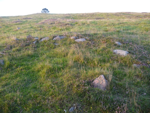 Image of Bellmuir settlement by drewbhoy