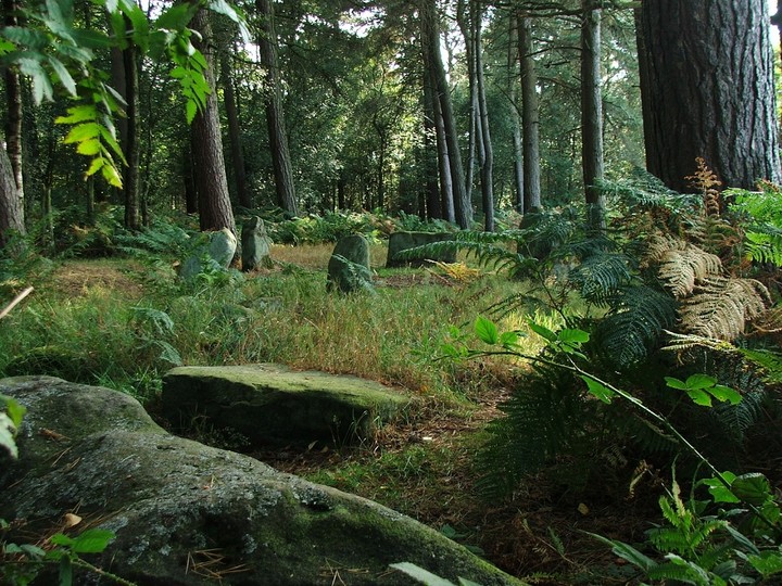 Image of Doll Tor (Stone Circle) by postman