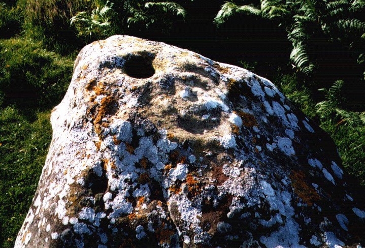 Image of Coldmartin Loughs 1-2 (Cup and Ring Marks / Rock Art) by rockartuk