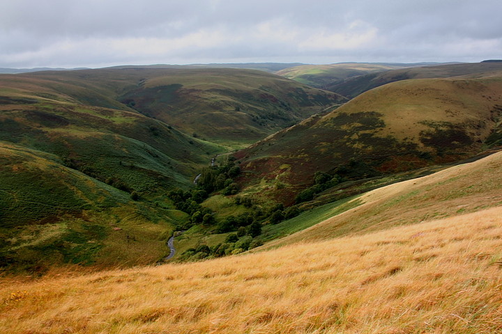 Image of Pen-y-Gurnos (Round Barrow(s)) by GLADMAN