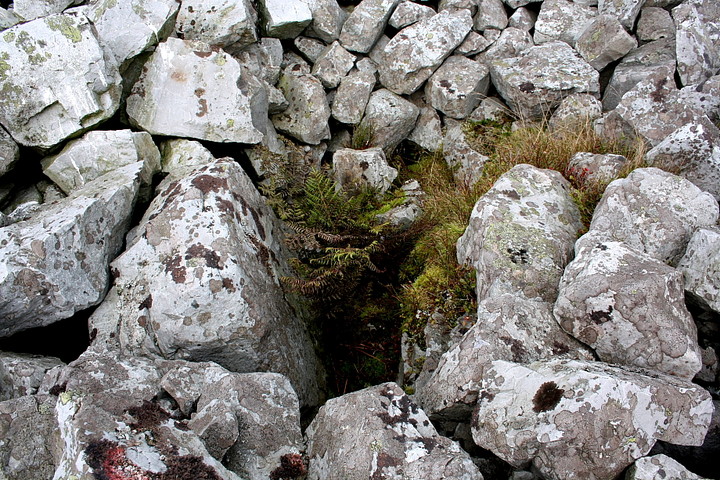 Image of Tair Carn Isaf (Barrow / Cairn Cemetery) by GLADMAN