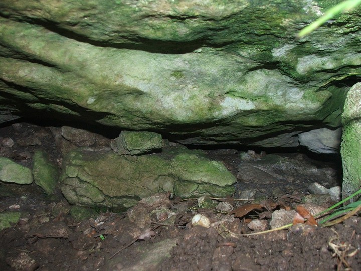 Image of Green Low (Burial Chamber) by postman