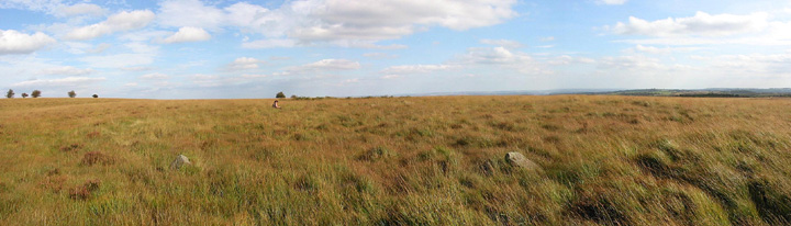Image of Barbrook III (Stone Circle) by stubob