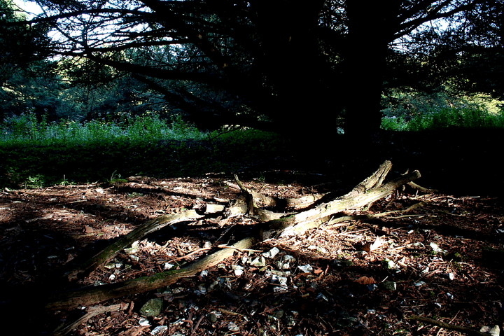 Image of Goose Hill Camp (Hillfort) by GLADMAN