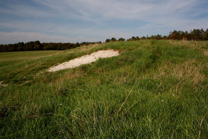 Image of Stoughton Down (Long Barrow) by GLADMAN