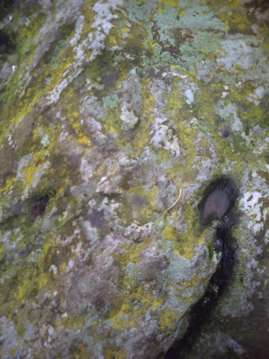 Image of Barharrow (Cup and Ring Marks / Rock Art) by Howburn Digger
