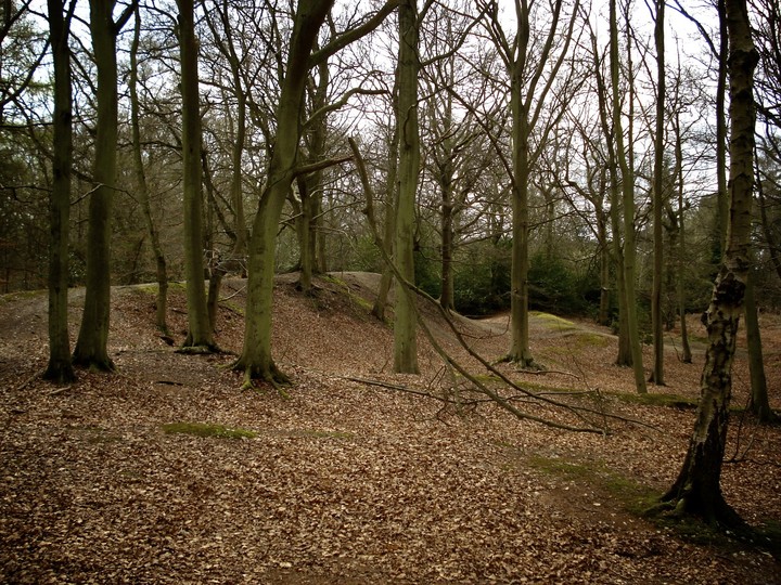 Image of Grimsbury Castle (Hillfort) by ginger tt