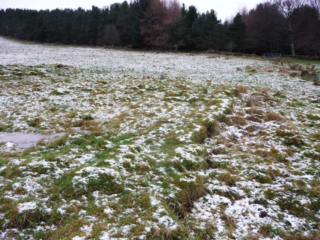 Image of Clashholm (Ancient Village / Settlement / Misc. Earthwork) by drewbhoy
