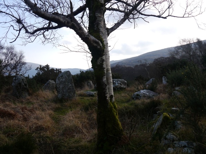 Image of Uragh West (Stone Circle) by Meic