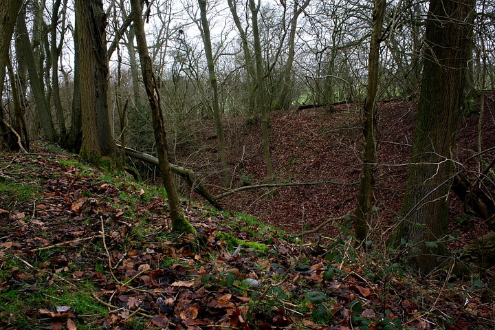 Image of Membury Camp (Hillfort) by GLADMAN