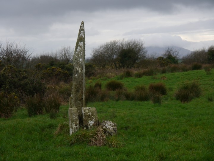 Image of Murrahin North (Stone Row / Alignment) by Meic