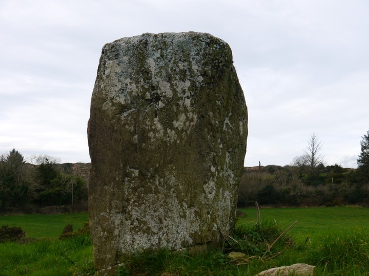 Image of Trawlebane 1 (Standing Stone / Menhir) by Meic