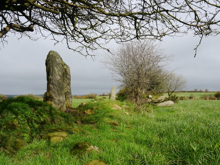 Image of Knocks (Stone Row / Alignment) by Meic