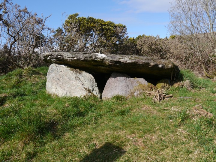 Image of Barnagowlane West (Wedge Tomb) by Meic