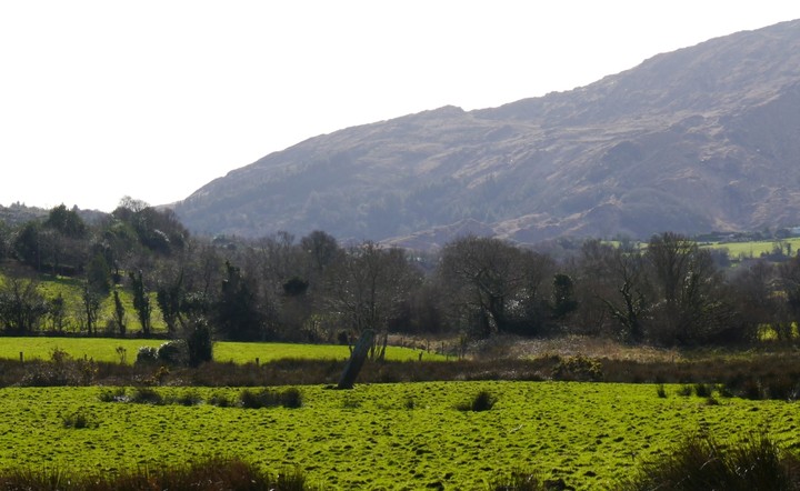 Image of Farnanes (Standing Stone / Menhir) by Meic