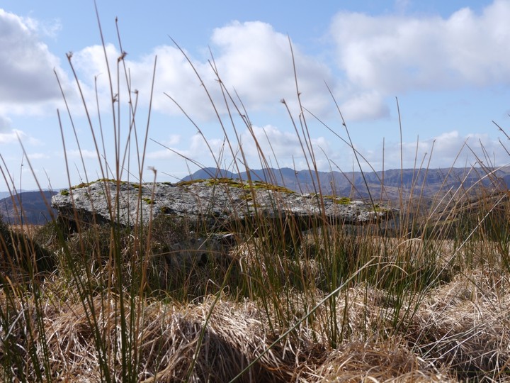Image of Barraboy Mountain N (Wedge Tomb) by Meic