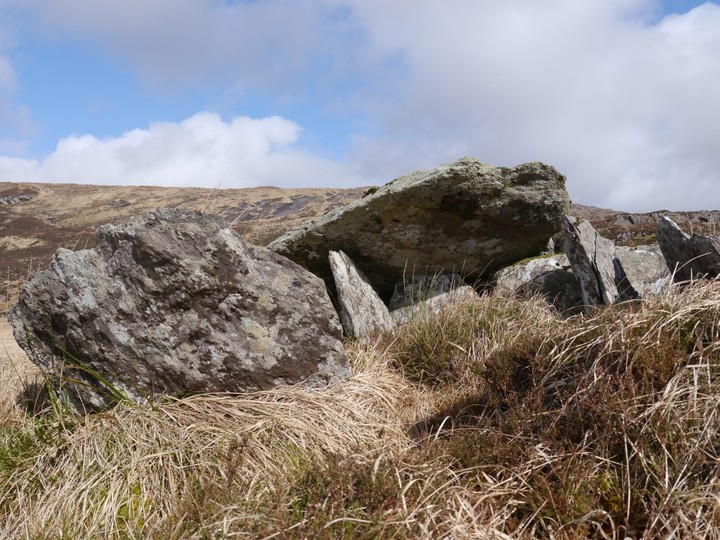 Image of Barraboy Mountain S (Wedge Tomb) by Meic
