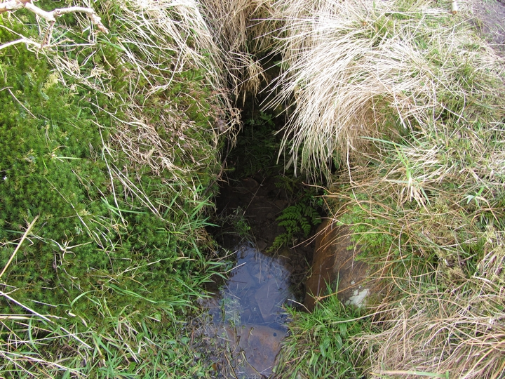 Image of Cheese Well (Sacred Well) by thelonious