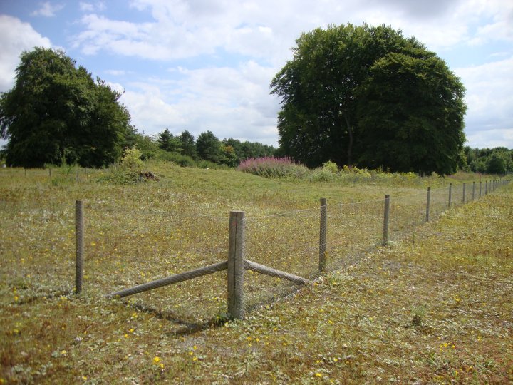 Image of Seven Barrows (Tidworth Camp) (Round Barrow(s)) by Chance