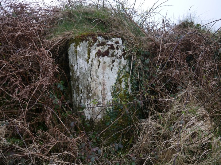 Image of Keilnascarta SE (Stone Row / Alignment) by Meic